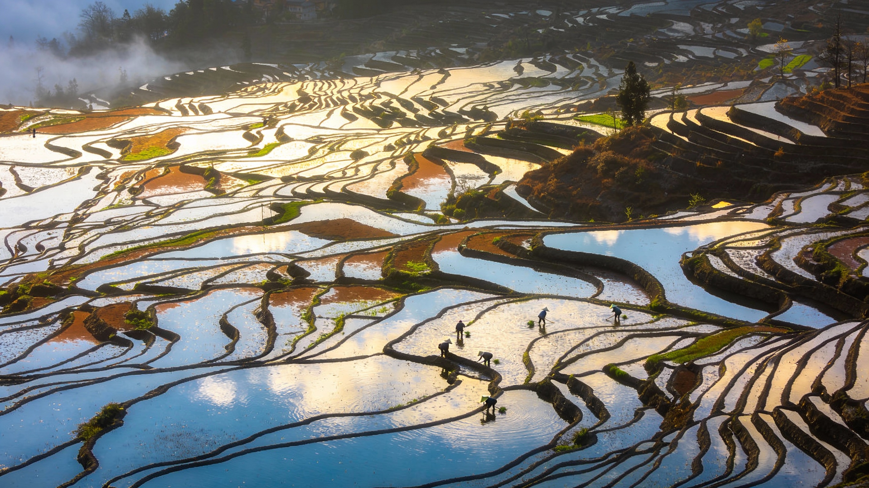 Terrazze di riso di Yuanyang in primavera