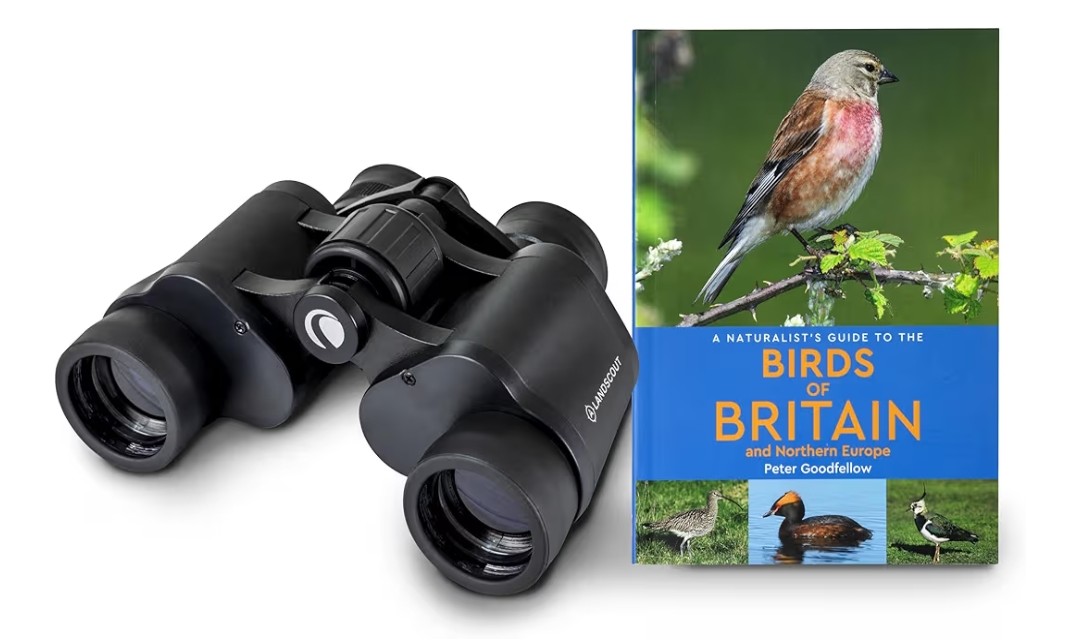 I migliori binocoli Celestron e Nikon per astronomia e natura (2025)